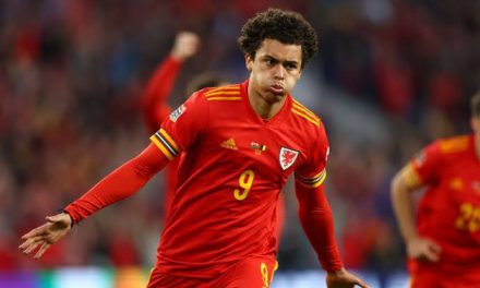 Johnson Late Strike Dashes Belgium Hope