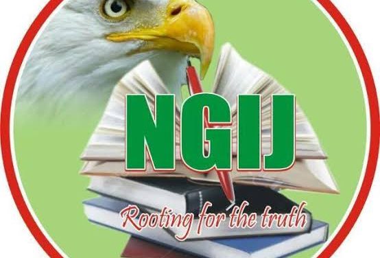 NGIJ Commence Governance Assessment Tour In Osun, Administer Questionnaires In 30 LGs