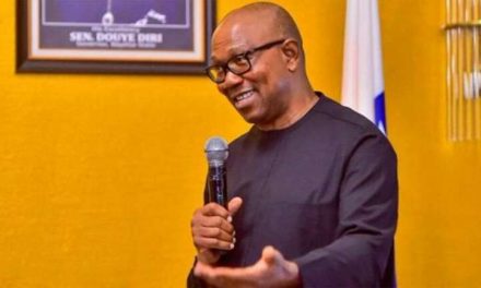 Lack Of Investment, Insecurity Affecting Food Inflation In Nigeria, LP Presidential Candidate, Peter Obi Says