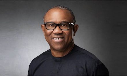 Igbo Leaders Back Obi For Presidency, Urges Buhari To Release Nnamdi Kanu