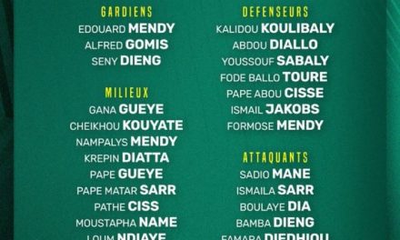 Senegal, Netherlands Release World Cup Squad