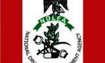 NDLEA Declares Lagos Drug Baron, Ademola Kazeem Wanted