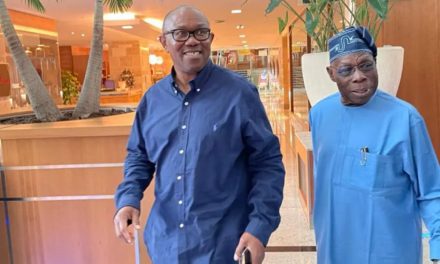 Obasanjo Endorses Peter Obi For President