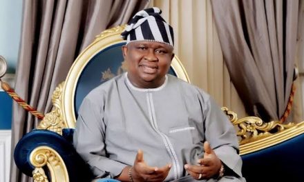 Senator Adeola Wins Ogun West Senatorial Seat