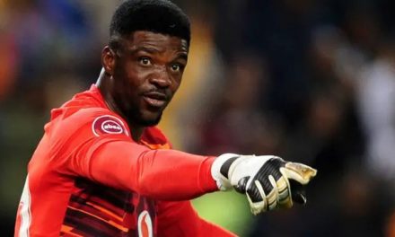 Daniel Akpeyi Joins Moroka Swallows For Remainder Of PSL Season