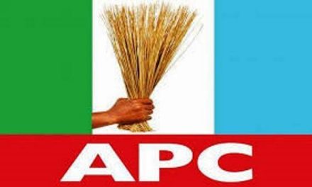 APC Wins Three Senatorial Seats In Lagos, 20 House Of Rep Seat