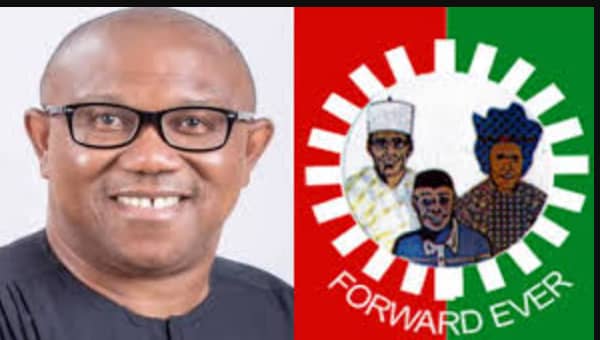 Peter Obi Fingered In Labour Party Crisis, As Court Bans National Officer