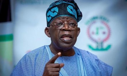 President Tinubu Clarifies His Statement On Subsidy