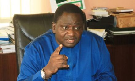 Nigerians Lambast Adesina Over Statement That It Isn’t FG Duty To Create Job