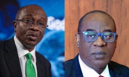 The CBN New Governor Unveiled