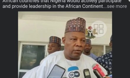 Vice President, Shettima Pledges Nigeria’s Leadership In AfCFTA