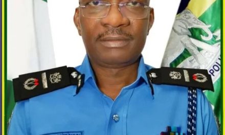 Profile Of Newly Appointed AG.IGP Kayode Egbetokun