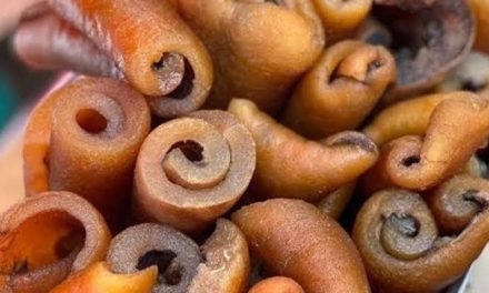 FG Warn Nigerians Against Consumption Of Ponmo, Bush Meat Due To Anthrax Disease