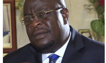 Enugu Governor, Mbah, Appoint Ladi Akeredolu Ale Appointed MD, ESBS