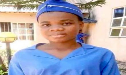 Anambra State Panel Confirm Mmesoma Manipulated UTME Result