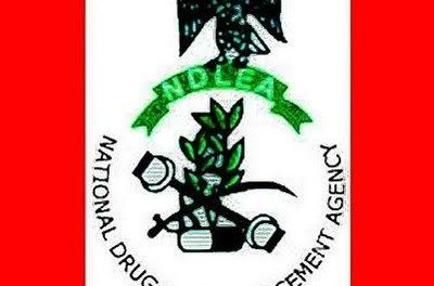 NDLEA Nab 84 Suspects, Seizes Illicit Drugs