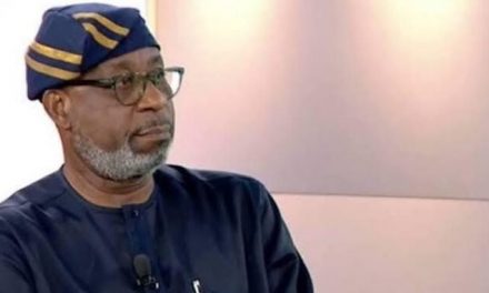 Dele Alake Opens Up, Says He Demanded To Be Minister For Solid Minerals