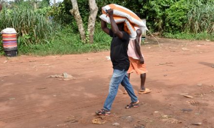 Expanding The Frontiers Of Impact Beyond Feeds