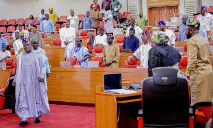 LAHA Reveals Why First Lady, Oluremi Tinubu Deserves To Be Celebrated At 63