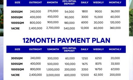 Breaking News: Own Property For Just N1,250