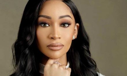 Seyi Tinubu Bows Out Of Prominent Company As Wife, Layal Takes Over