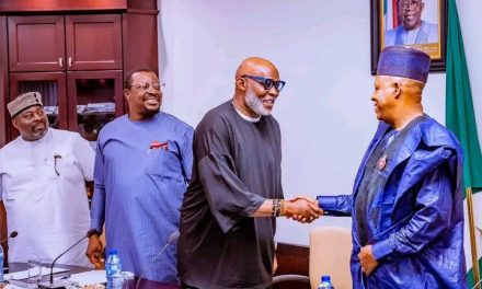 RMD Explains Reason Behind His Visit To VP Shettima