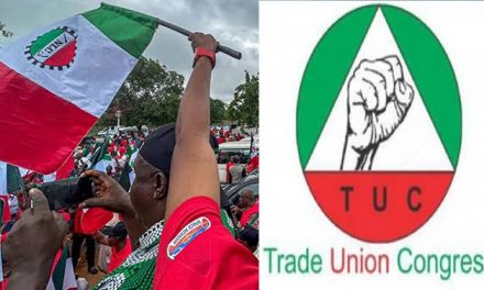 Northern CSOs Urge NLC, TUC To Call Off Strike, Lament Hardship Faced By Masses