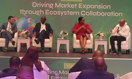 Driving Digital Payment Growth: Perspectives from Interswitch at CeBIH 2023