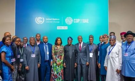 Labour Party Slams FG Over Huge Delegation To COP28, Says It Is Insensitive