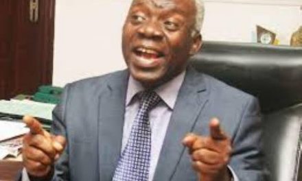 Falana Sues FG, Governors Over Neglect Of Out Of School Children