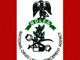 NDLEA Lament Excessive Intake Of Hard Drugs By Youth, Says They Take Fermented Urine, Lizard Faeces To Get High