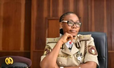 President Tinubu Appoint Nandep As New CG, Immigration