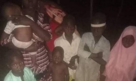 Terrorists Abduct 87 Persons In Fresh Attack In Kaduna