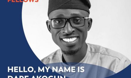 NGIJ Member, Dare Akogun, 14 Others Win Fellowship Award In Germany