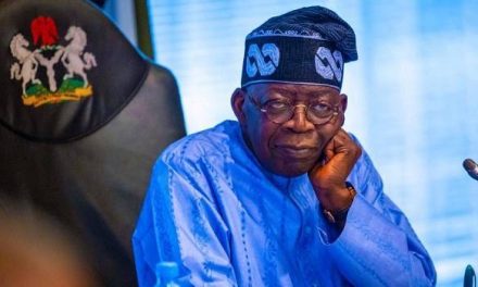 Northern Group Lambast President Tinubu Over Economic Misfortunes, LGBT, Insecurity
