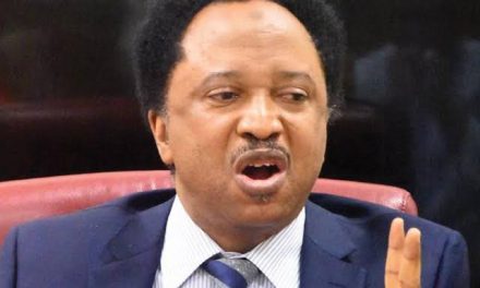 Shehu Sani Urges Governor Sani To Go After El Rufai Over $350mn, N85bn Loan