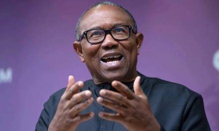 Labour Party Prides Self, Says Party Remains Only Platform Peter Obi Can Win Election,  Become President