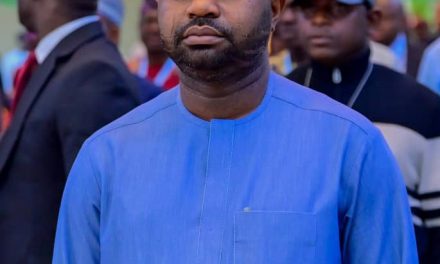 FIRS Chairman Calls For Strengthening Of Internally Generated Revenue Capacity