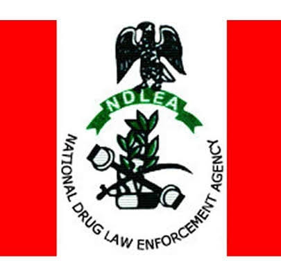 Osun Traditional Ruler, Corps Member Nabbed By NDLEA For Drug Trafficking