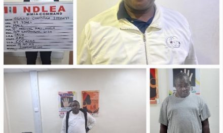 NDLEA Nabs Ex-Convict At Lagos Airport With N4.6 Billion Worth Of Cocaine, As Marwa Pledges To Disrupts Drug Cartel Activities