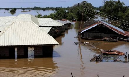 FG Warn Nigerians, Urges Them To Relocate From River Banks, As Flooding Escalates