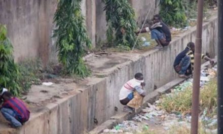 LASG Approves 100 New Public Toilets To Curb Open Defecation 