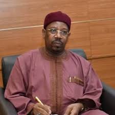 Danzaria And The Re-Engineering Of NASS Bureaucracy