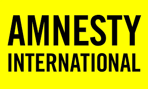 CSOs Faults Amnesty International’s Report on End Bad Governance Protest, Says Report Full Of Speculation, Unsubstantiated Facts