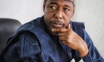 Governor Zulum Laments Spate Of Insecurity In Borno, Says Govt Losing Ground On Boko Haram 