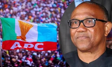 2027: APC Slams Peter Obi, Says He Lacks Capacity To Rule Nigeria 