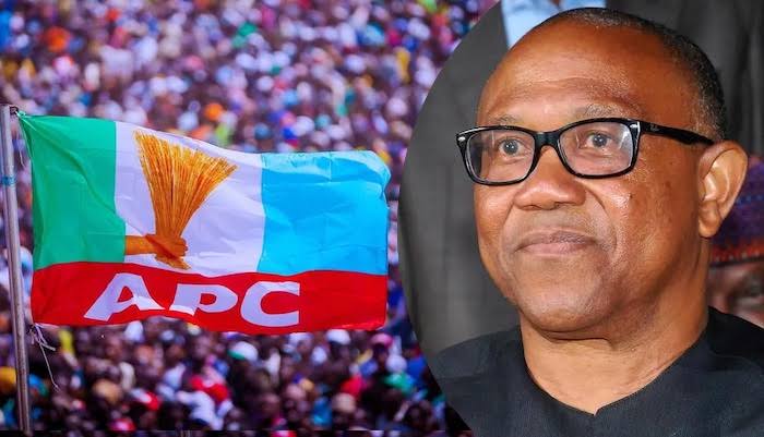 2027: APC Slams Peter Obi, Says He Lacks Capacity To Rule Nigeria 