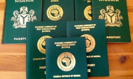 Mixed Reaction Trails FG Increment Of Passport Processing Fee To N100,000, N200,000 Respectively