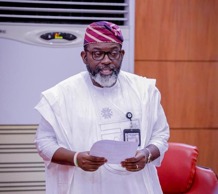 Nigeria Should Be Receiving Commendations, Not Threats – Lagos Lawmaker