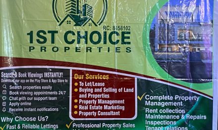 Young experts launch Nigeria’s first anti-fraud app for real estate 